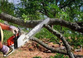 Best Lawn Mowing  in Tappahannock, VA